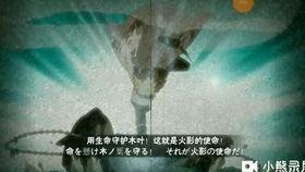 截拳李忍者爆料视频在线观看,揭秘截拳道精髓与实战技巧